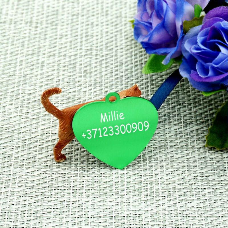 Жетон для животных Green II