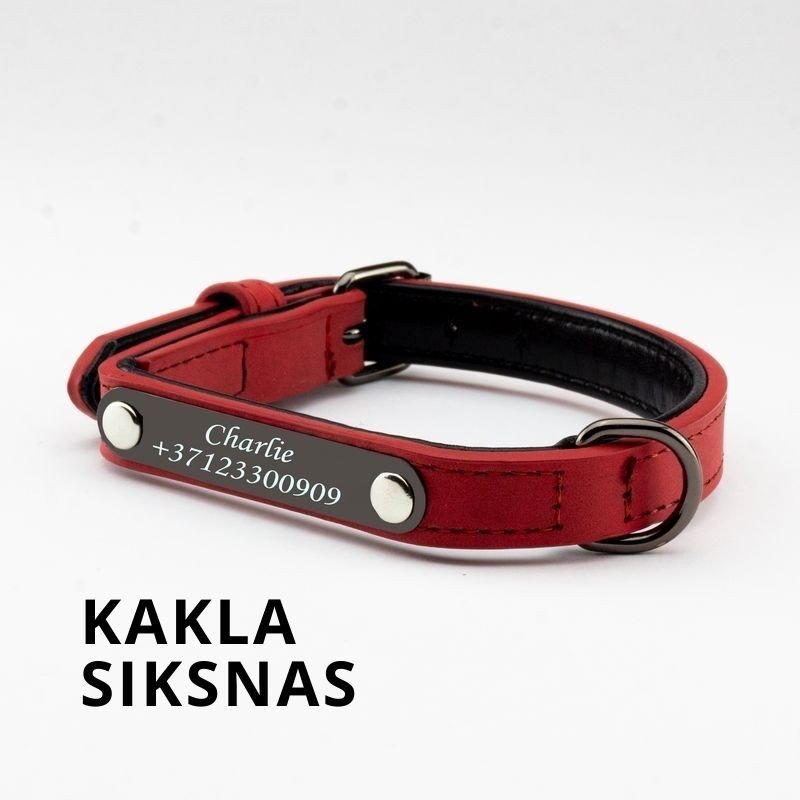 Kakla siksnas