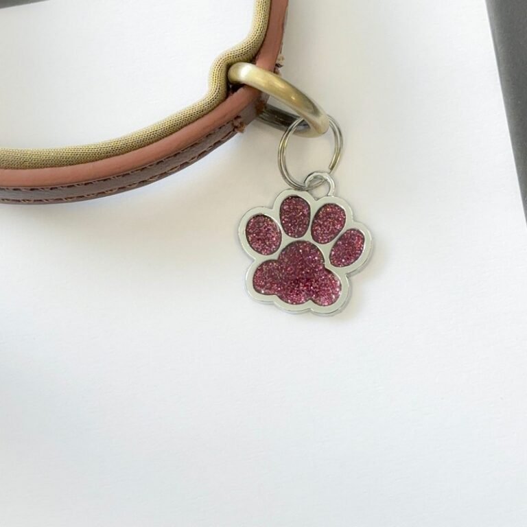 Жетон для животных Лапка Silver